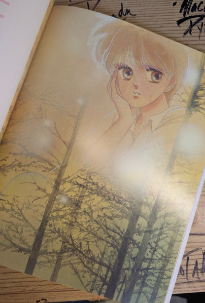 Ken Mizuki — Cotton Color 1989